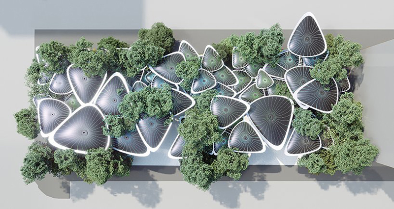 迪拜不銹鋼園林景觀雕塑案例